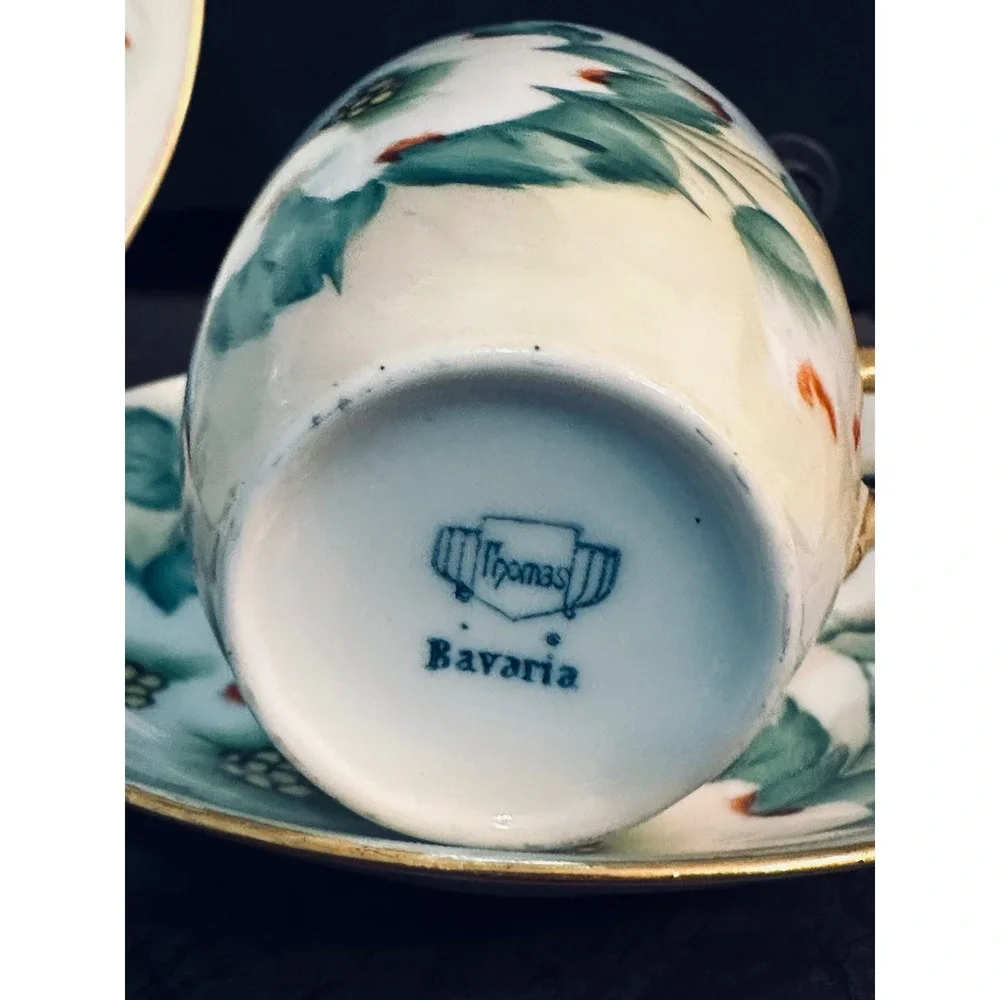 Vintage‎ 1944 Royal Bavarian Hutschenreuther Plate & Thomas Bavaria Cup Set